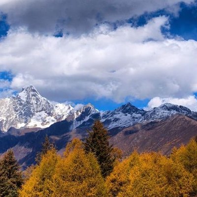 陈景明