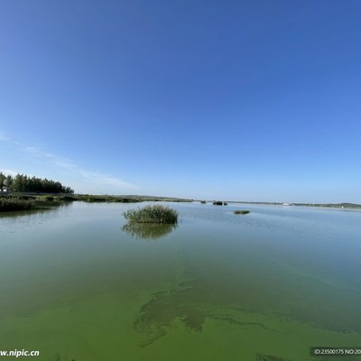 曹景瑜
