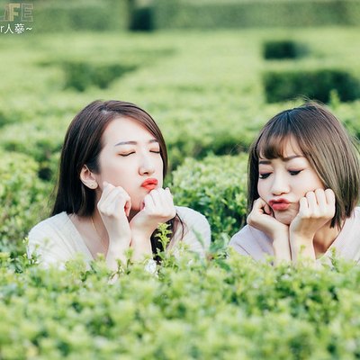 孔俊豪
